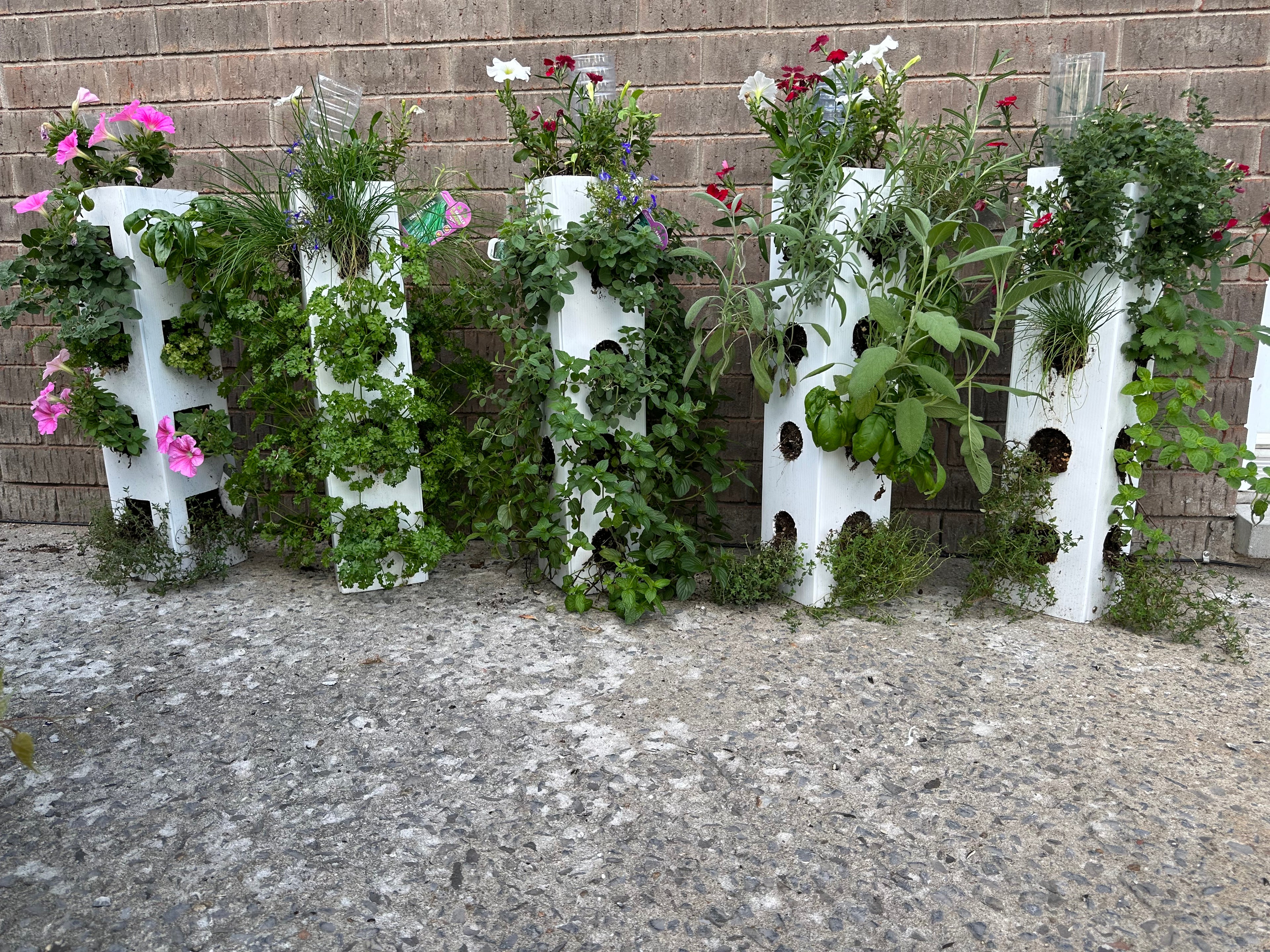 Les jardinières Agriculture urbaine